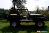 Classic Jeep: CJ Sahara for Sale
