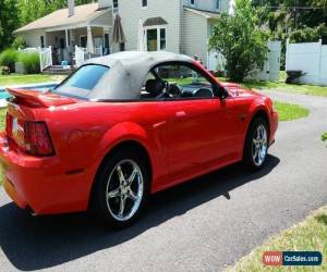 Classic 2000 Ford Mustang GT for Sale