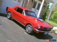 1965 Ford Mustang for Sale
