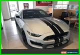 Classic 2017 Ford Mustang Shelby GT350 Coupe 2-Door for Sale