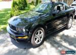 2007 Ford Mustang Deluxe for Sale