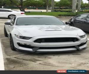 Classic 2017 Ford Mustang Shelby GT350 for Sale