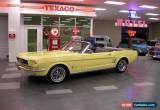 Classic 1966 Ford Mustang for Sale