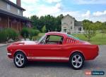 1965 Ford Mustang 2+2 FASTBACK for Sale