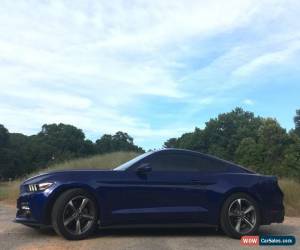 Classic 2015 Ford Mustang Ecoboost for Sale