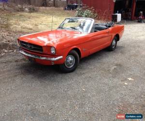 Classic 1965 Ford Mustang for Sale