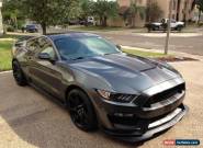 2016 Ford Mustang SHELBY GT350R for Sale