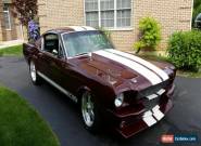 1965 Ford Mustang Fastback for Sale