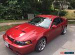 2003 Ford Mustang SVT Cobra Coupe 2-Door for Sale