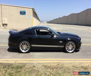 Classic 2013 Ford Mustang GT500 Supersnake for Sale