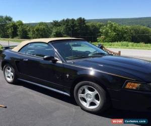 Classic 2003 Ford Mustang Pony Edition for Sale