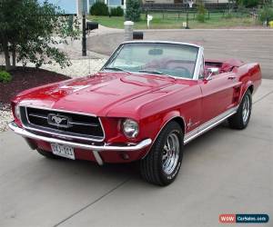 Classic 1967 Ford Mustang CONVERTIBLE for Sale