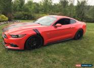 2015 Ford Mustang gt for Sale