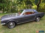 1964 Ford Mustang for Sale