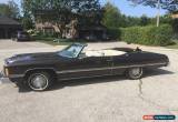 Classic Chevrolet: Caprice for Sale