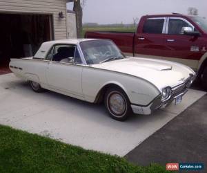 Classic Ford: Thunderbird for Sale