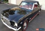 Classic 1965 Ford Mustang pony for Sale