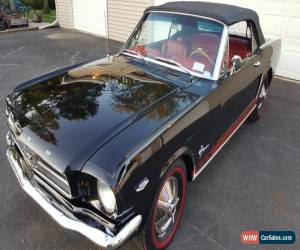 Classic 1965 Ford Mustang pony for Sale