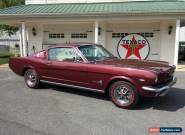 1966 Ford Mustang Fastback 2+2 for Sale