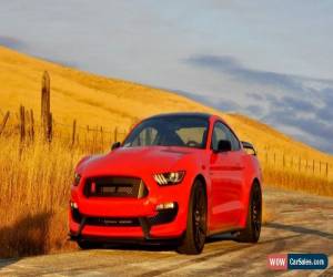 Classic 2016 Ford Mustang GT350R for Sale