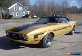 Classic 1973 Ford Mustang for Sale