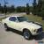 Classic 1970 Ford Mustang Mach 1 for Sale