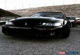 Classic 2003 Ford Mustang Cobra for Sale