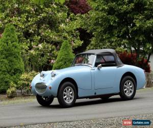 Classic Austin Healey: Sprite for Sale