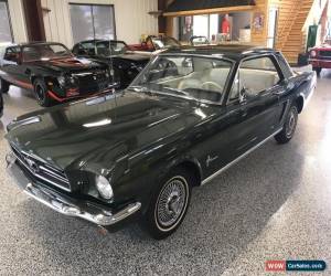 Classic 1965 Ford Mustang for Sale