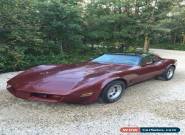 Chevrolet: Corvette 1981 Corvette for Sale