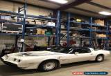 Classic 1981 Pontiac Trans Am for Sale