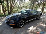 2007 Ford Mustang for Sale