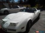 1981 Chevrolet Corvette for Sale