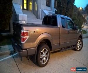 Classic Ford: F-150 STX Sports for Sale