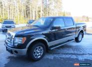 2010 Ford F-150 for Sale