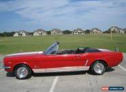 1965 Ford Mustang GT-350 Convertible for Sale