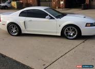 2004 Ford Mustang Cobra for Sale