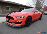 2016 Ford Mustang Shelby GT350 for Sale