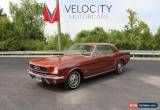 Classic 1966 Ford Mustang Base Fastback 2-Door for Sale