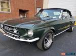 1967 Ford Mustang GT for Sale