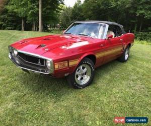 Classic 1969 Ford Mustang gt500 for Sale