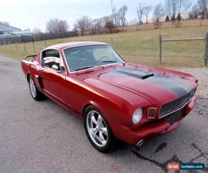 Classic 1966 Ford Mustang FASTBACK for Sale