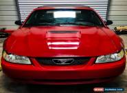 1999 Ford Mustang Convertible for Sale