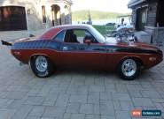 1970 Dodge Challenger for Sale