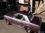 1964 - Ford - Mustang for Sale