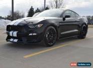 2018 Ford Mustang Shelby GT350 for Sale