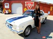 1966 Ford Mustang Shelby for Sale