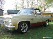 1982 Chevrolet C-10 maroon for Sale