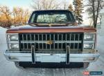 1982 Chevrolet C/K Pickup 1500 for Sale