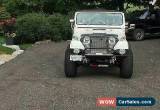 Classic Jeep: Wrangler for Sale